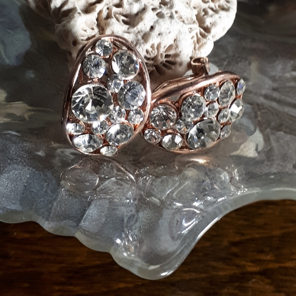 🆓 Rose Gold Bling Earrings - Picture 2 of 4